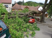 Kwikfynd Tree Cutting Services
woodspointvic