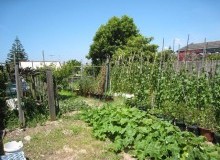 Kwikfynd Vegetable Gardens
woodspointvic